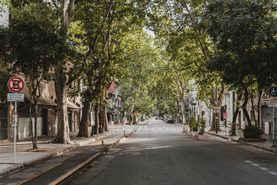 La Norma Granada como procedimiento de valoración del arbolado ornamental